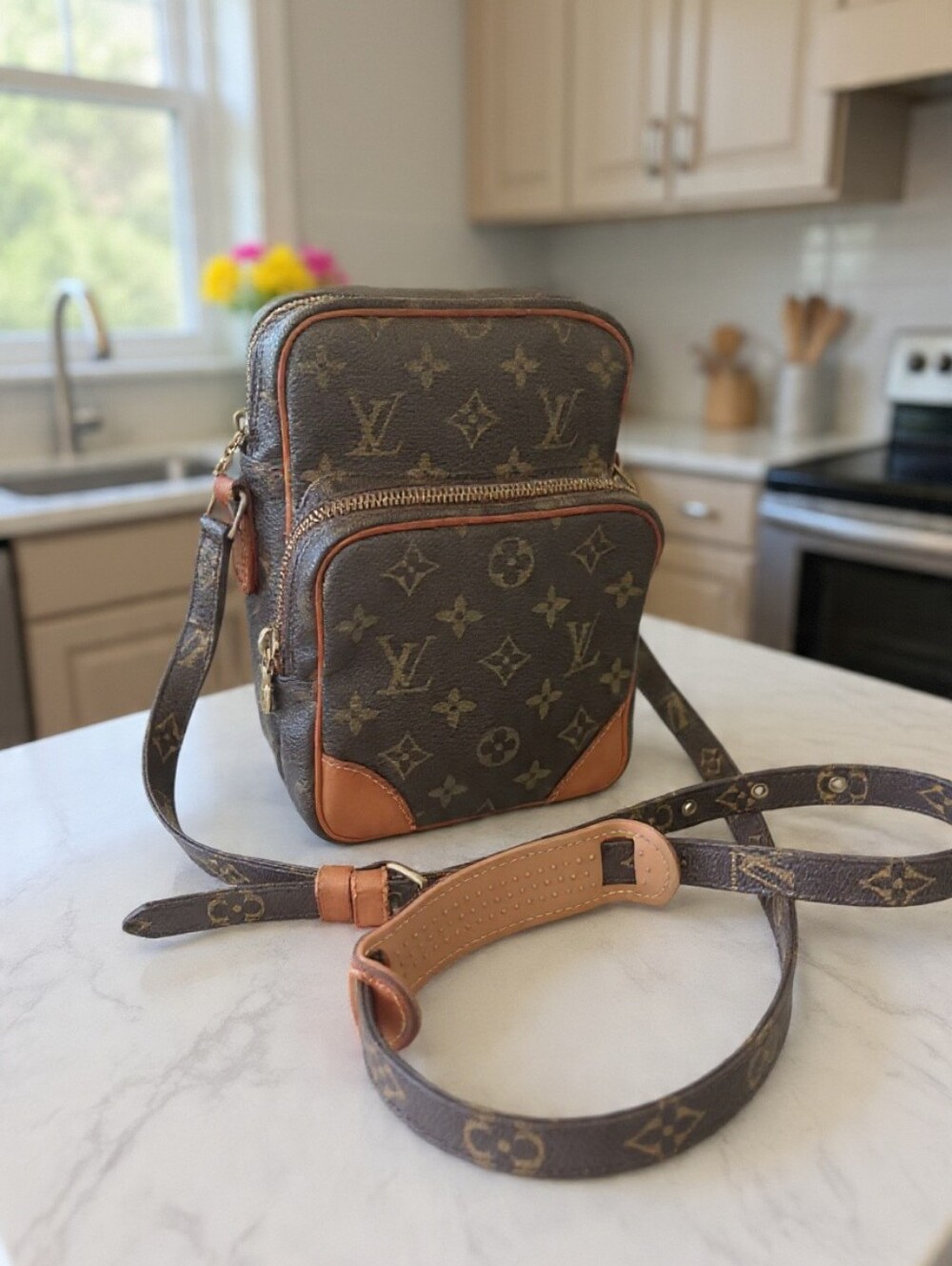 Louis Vuitton Amazon Vintage 2002 Monogram Crossbody Bag 💕